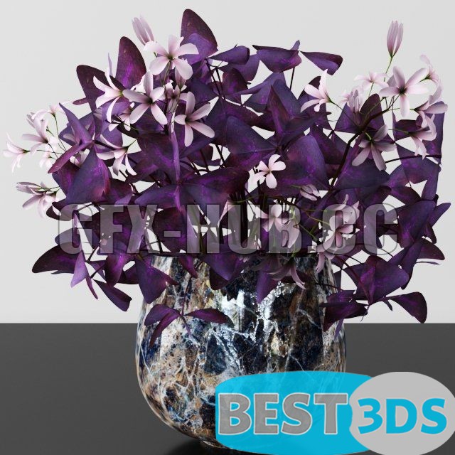 Pack model 3D- Vase – Image 45