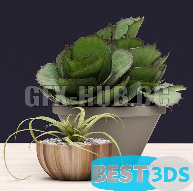 Pack model 3D- Vase – Image 43