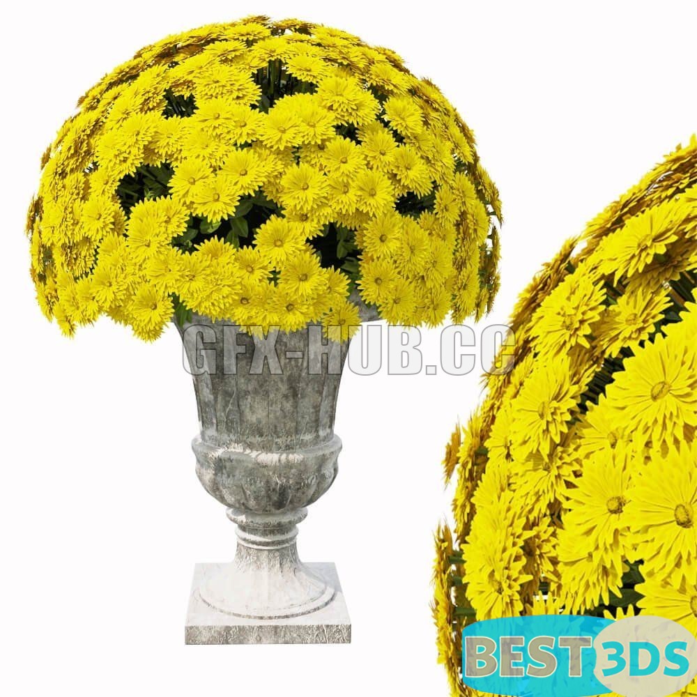 Pack model 3D- Vase – Image 34