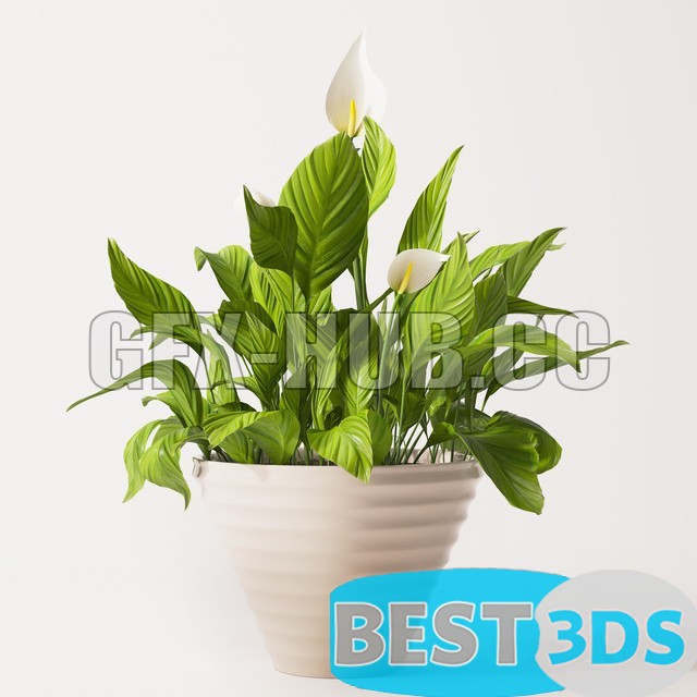 Pack model 3D- Vase – Image 28