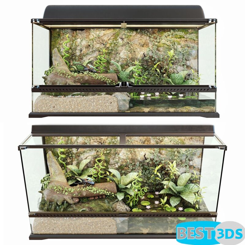 Terrarium naturel