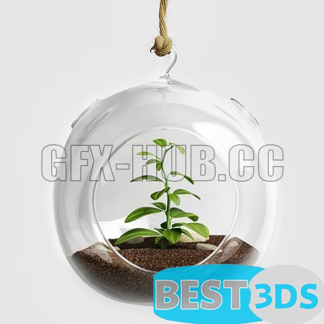 Pack model 3D- Vase – Image 13