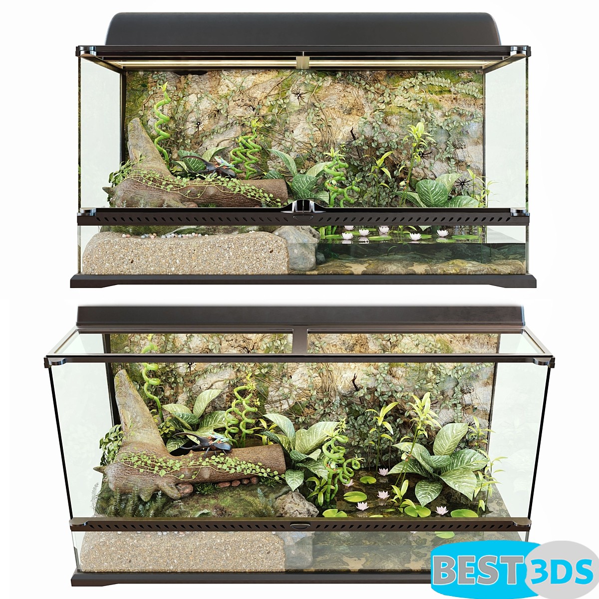 Terrarium naturel