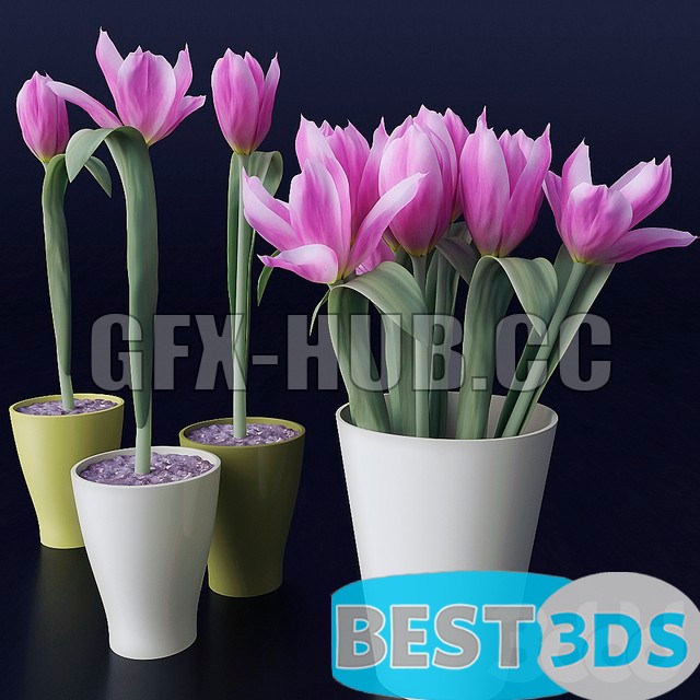 Pack model 3D- Vase – Image 15
