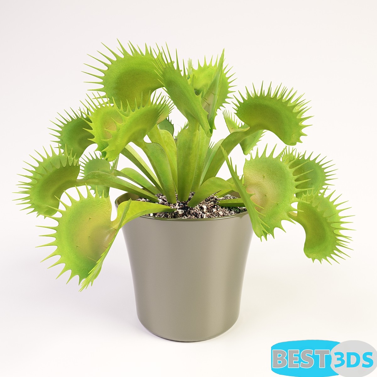 Pack model 3D- Vase – Image 10