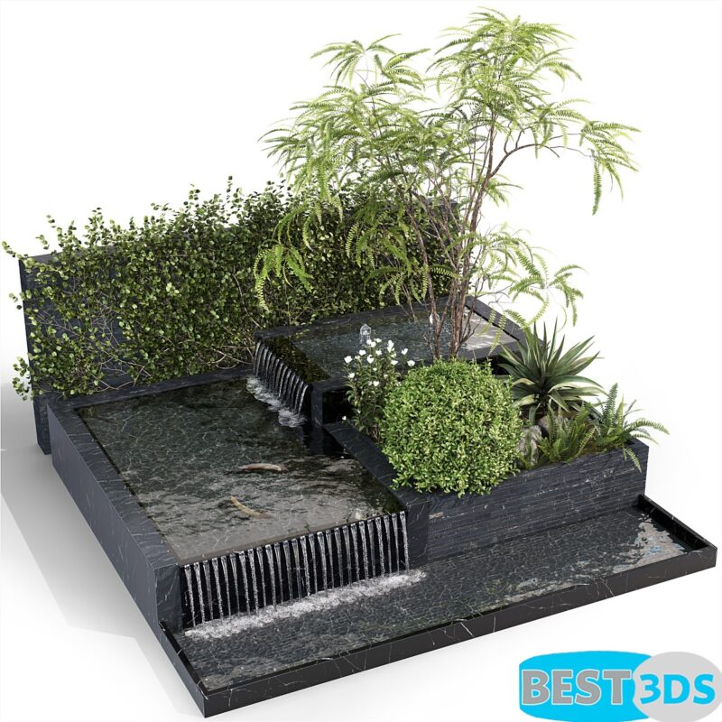 Bassins d’eau avec plantes et poissons