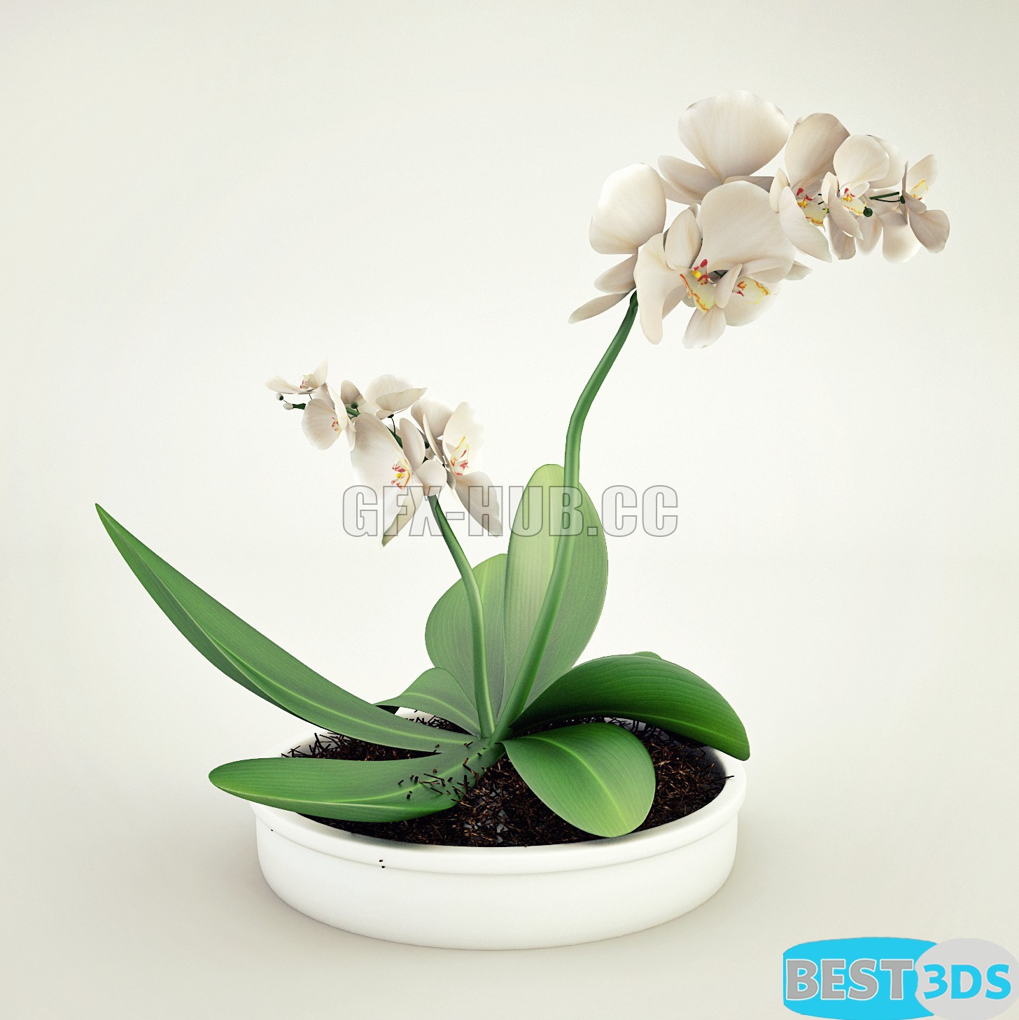 Pack model 3D- Vase – Image 5