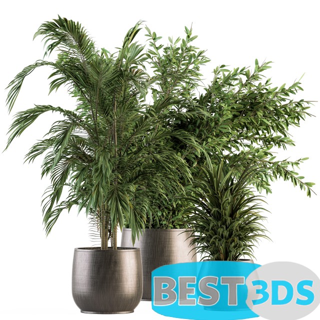 Modèle 3D de Indoor plant Set 112