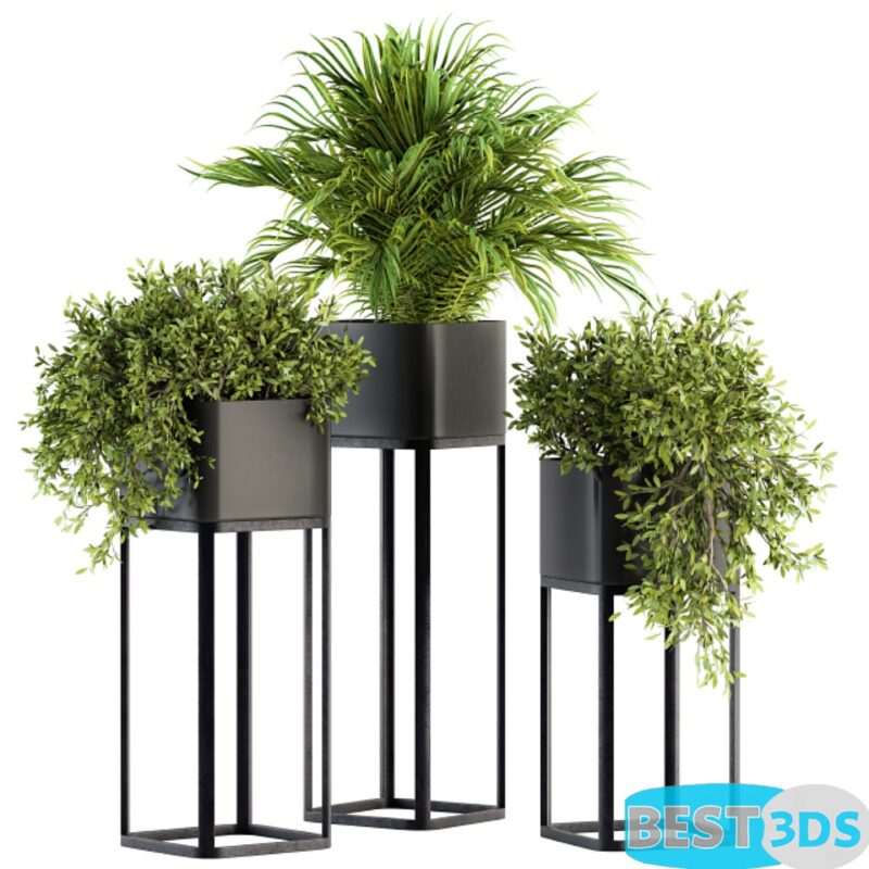 Modèle 3D de Indoor Plant Set 211 – Plant Box Stand