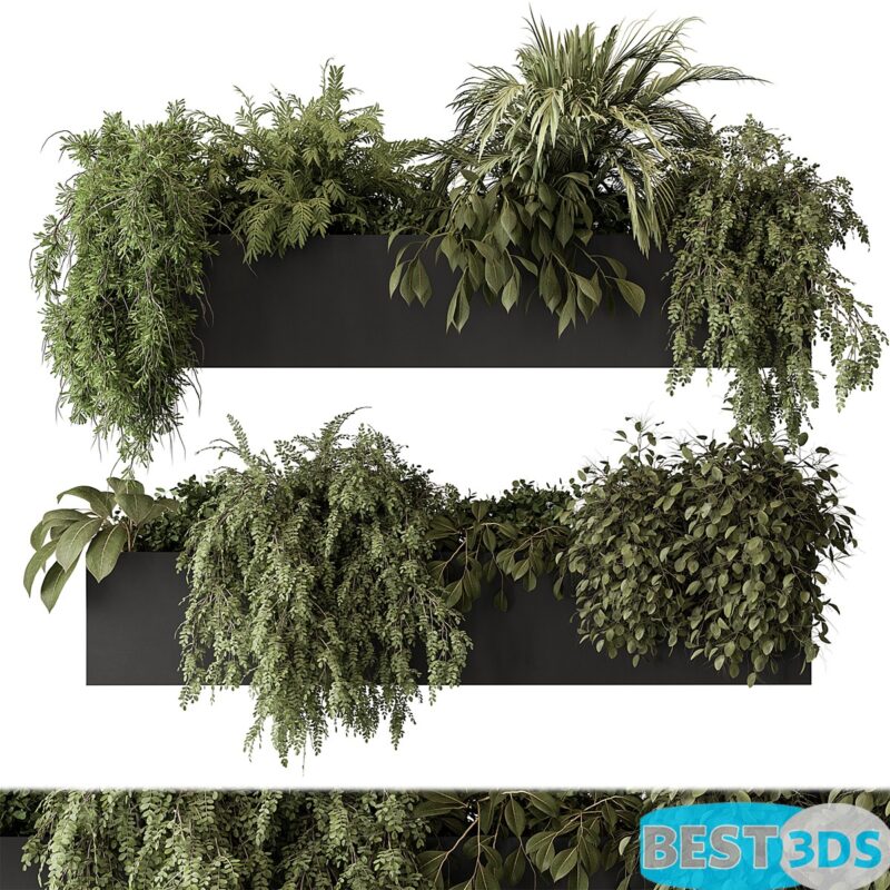 Modèle 3D de Indoor Plant Set 297 - Hanging Plantsie)