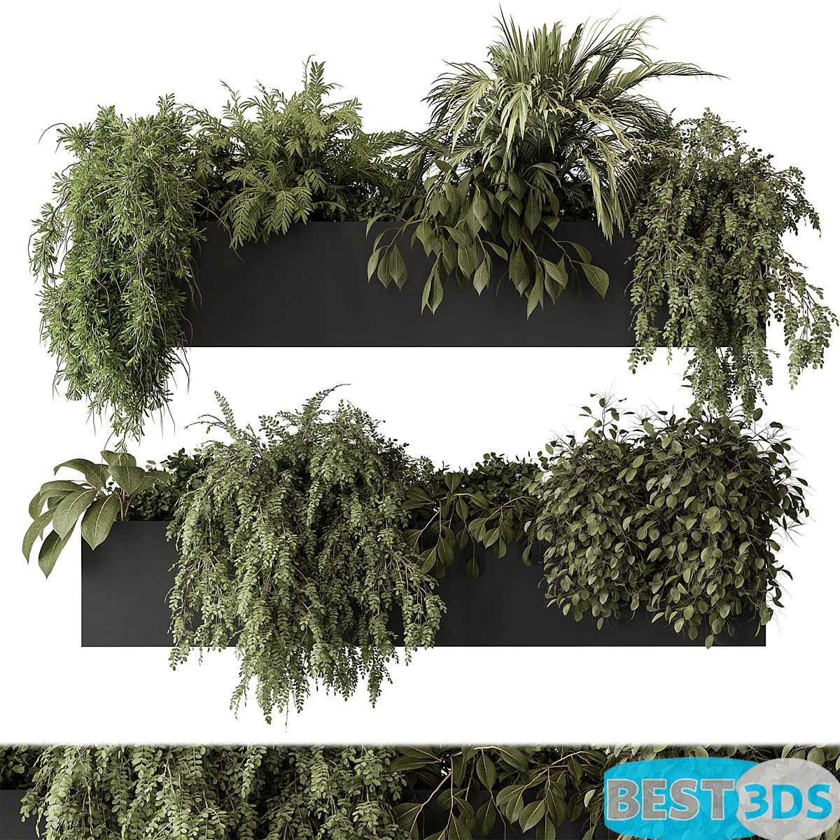 Modèle 3D de Indoor Plant Set 297 - Hanging Plantsie)