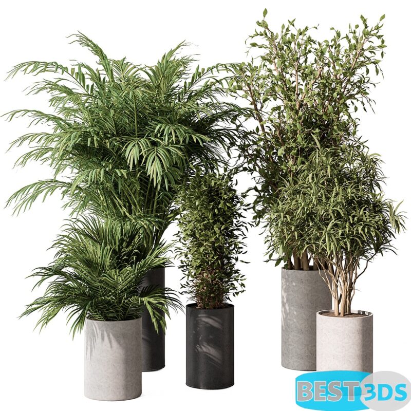 Modèle 3D de Indoor Plant Set 386 Tree and Plant Set in pot