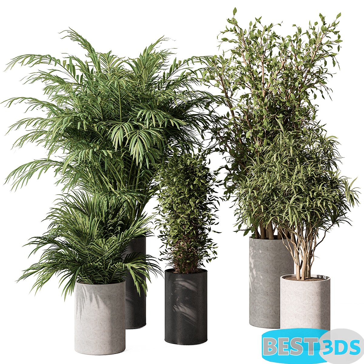 Modèle 3D de Indoor Plant Set 386 Tree and Plant Set in pot