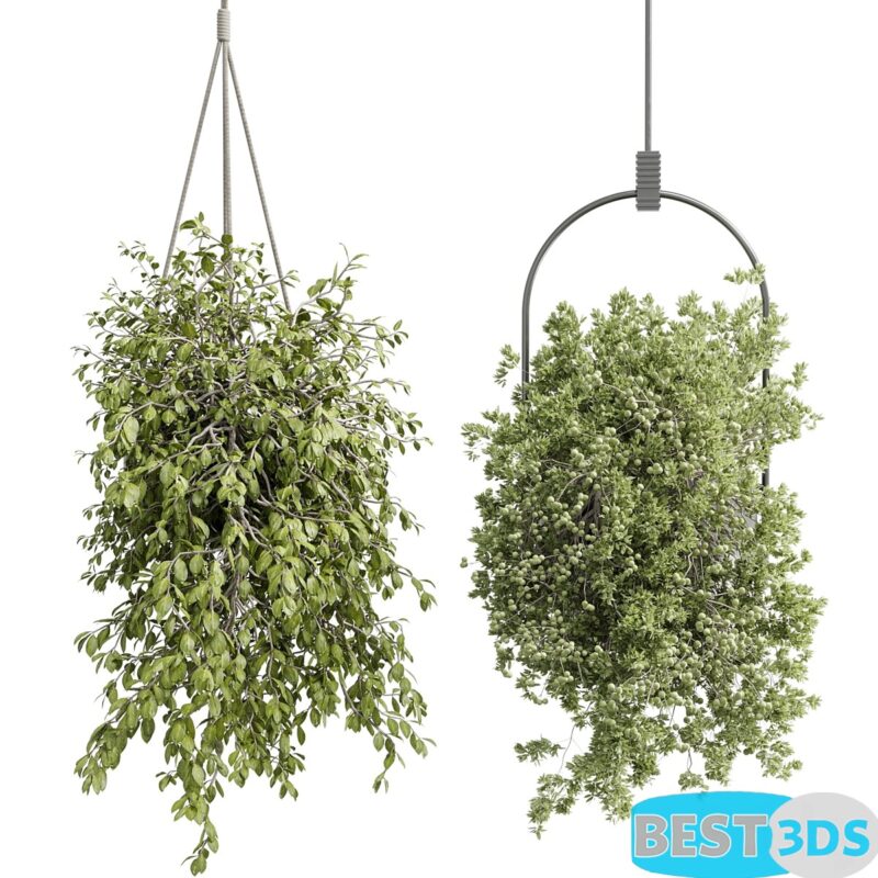 Modèle 3D de Indoor Plant Set 410