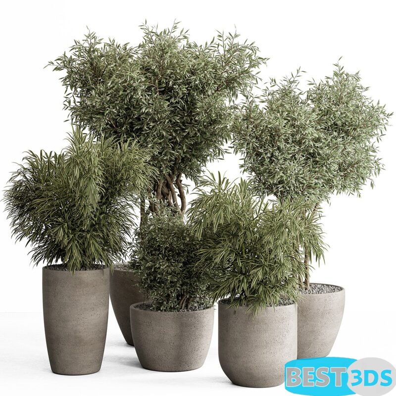 Modèle 3D de Indoor Plant Set 417 - Plant Set 0