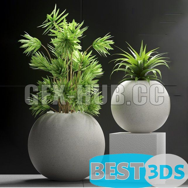 Modèle 3D de Plants 196